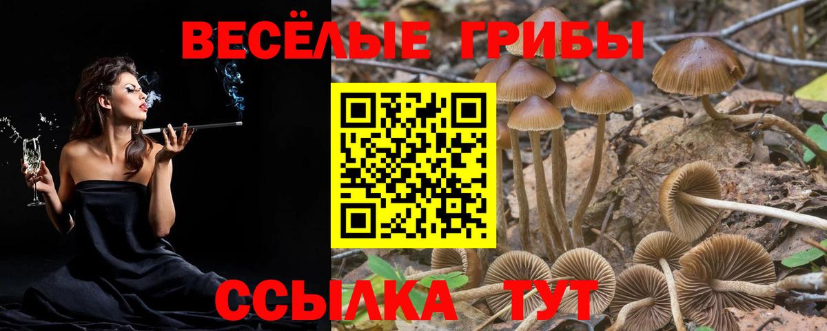 Алейск  Псилоцибиновые грибы мицелий  Вход с VPN 