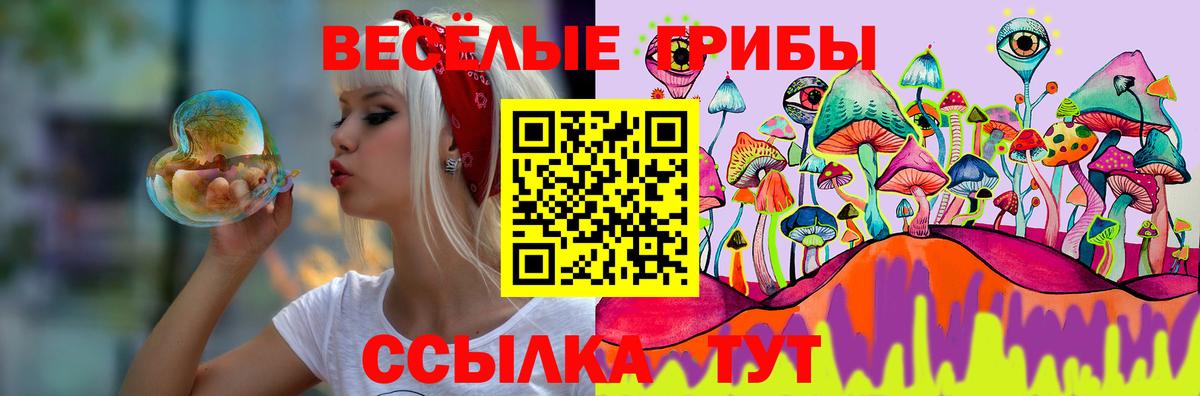 Псилоцибиновые грибы ЛСД Алейск